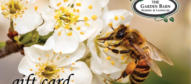Garden Barn Gift Card - Honeybee