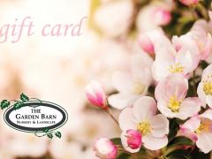 Garden Barn Gift Card - Cherry Blossoms
