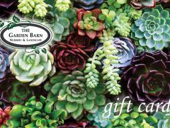 Garden Barn Gift Card - Succulents