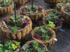 Garden Barn Grown Two Tier Planters