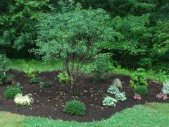 Garden Barn Installed Landscape