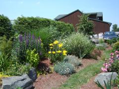 Garden Barn Pond