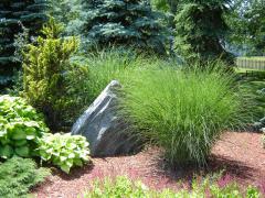 Garden Barn Pond