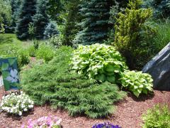 Garden Barn Pond