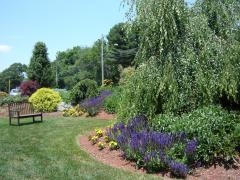 Garden Barn Pond