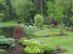 Garden Barn Pond